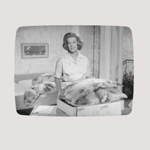 Die perfekte Hausfrau