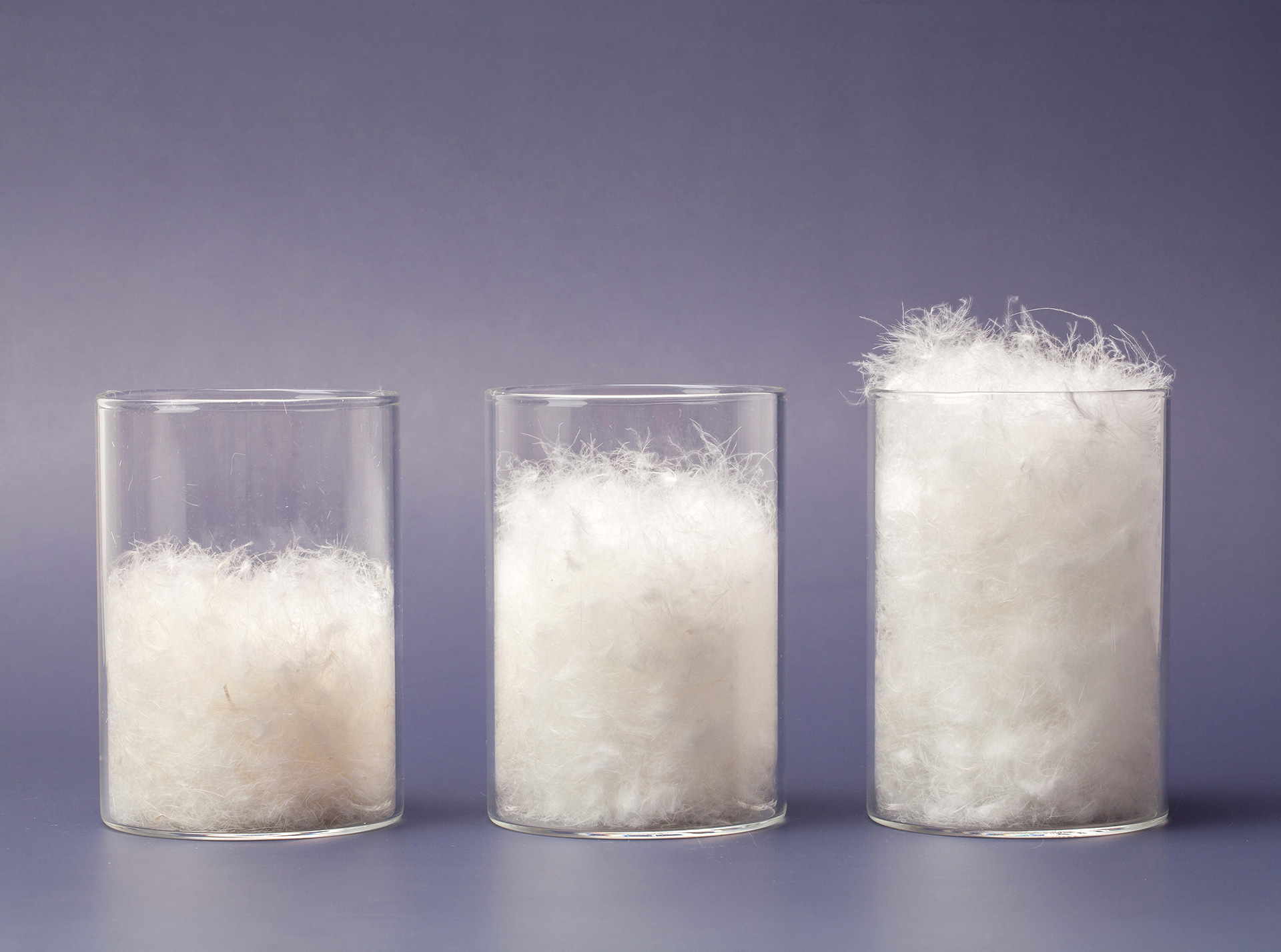 Bild von Bettenrid Maßstab