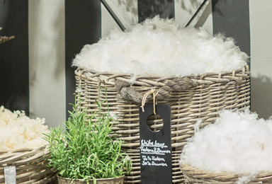 Bild von Weiße Federn