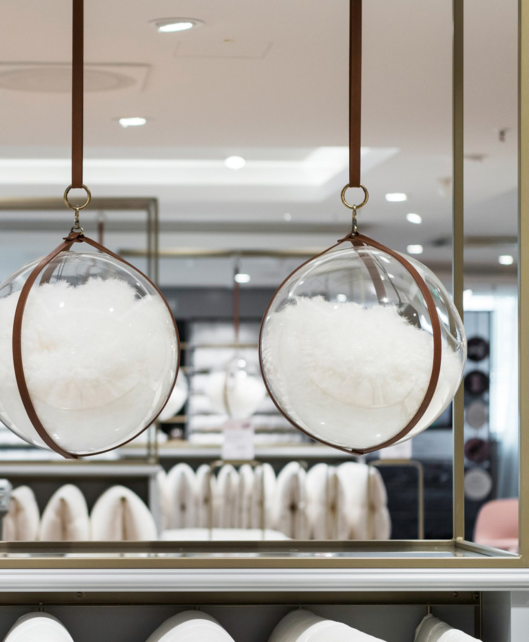 Bild von Bauschkraft 