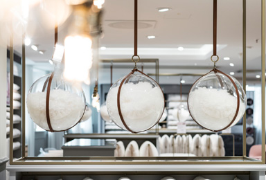 Bild von Gänsedaunen