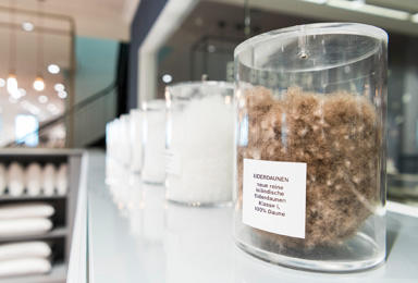 Bild von Eiderdaunen