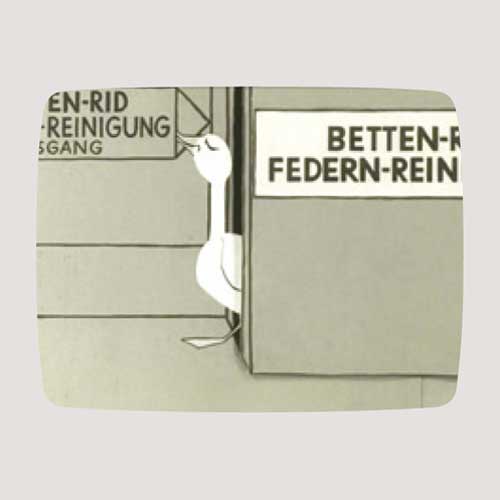 Die Abenteuer der Gans 