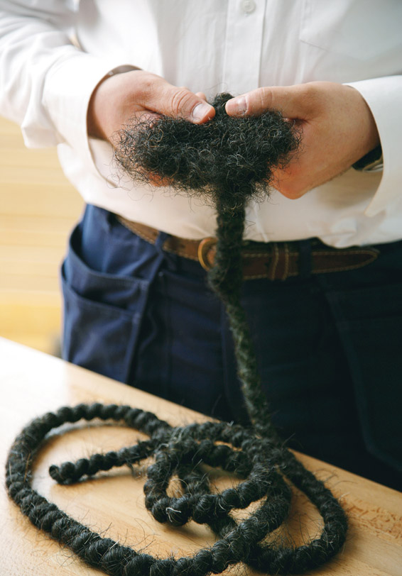 Bild von Nachhaltigkeit