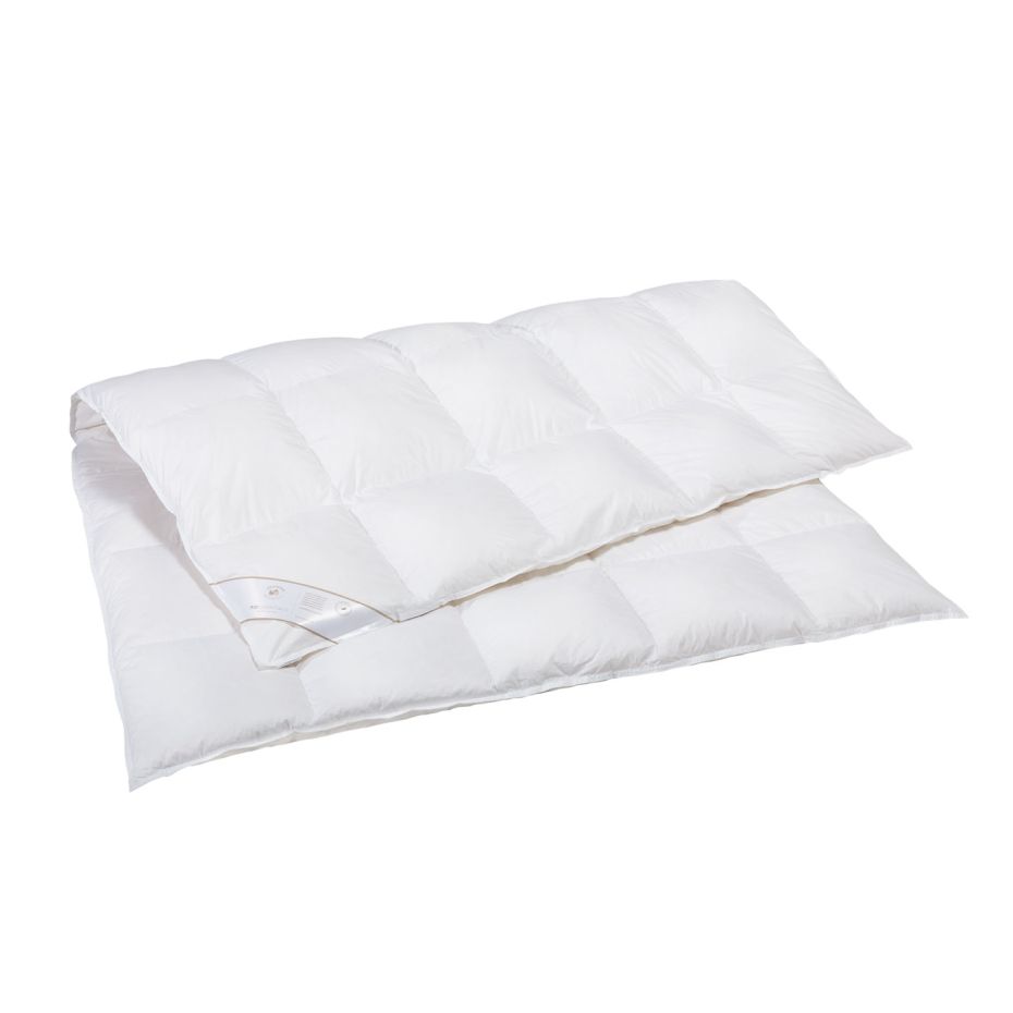 Rid Essentials Daunendecke "Holsteiner Weidegans" warm bei Bettenrid