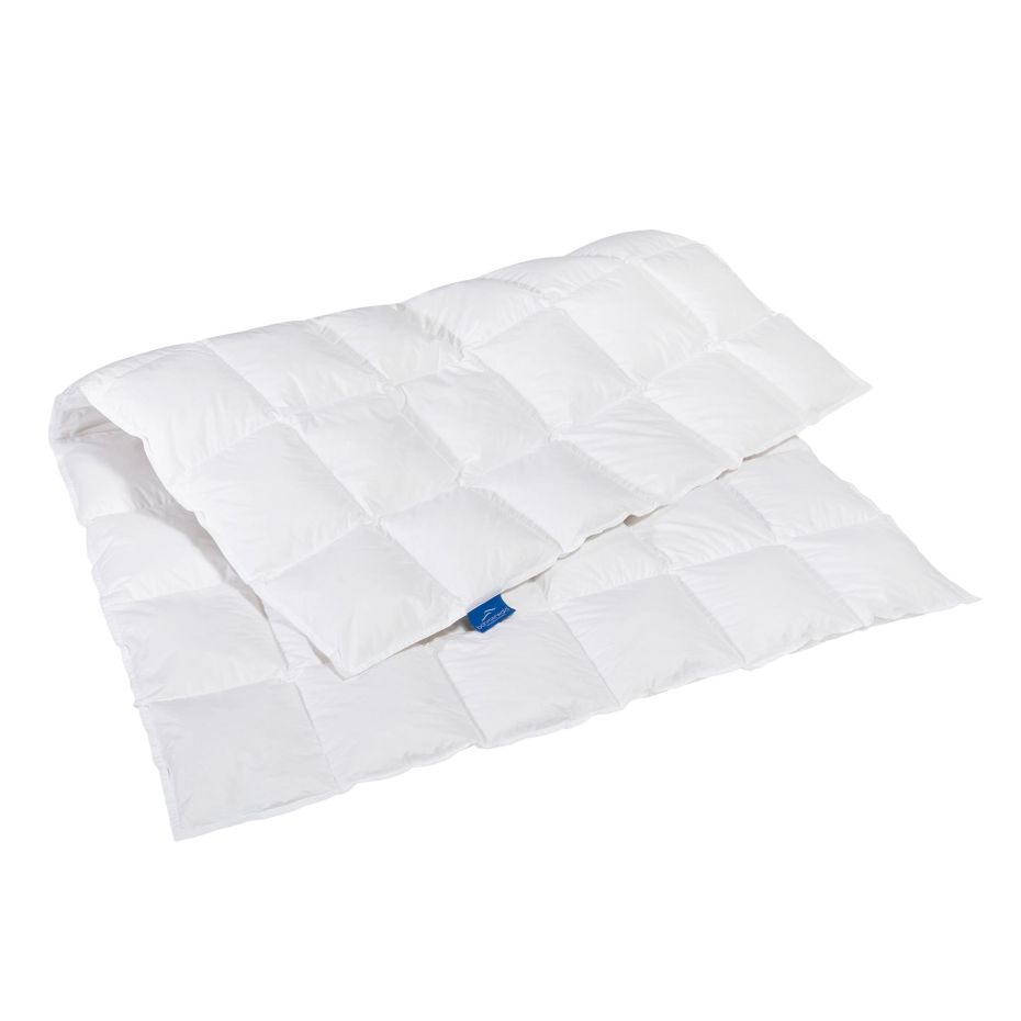 Böhmerwald Daunendecke "Celina" medium bei Bettenrid