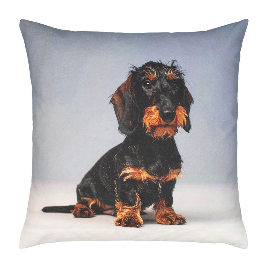 Proflax Sofakissenbezug "Bodo" bei Bettenrid